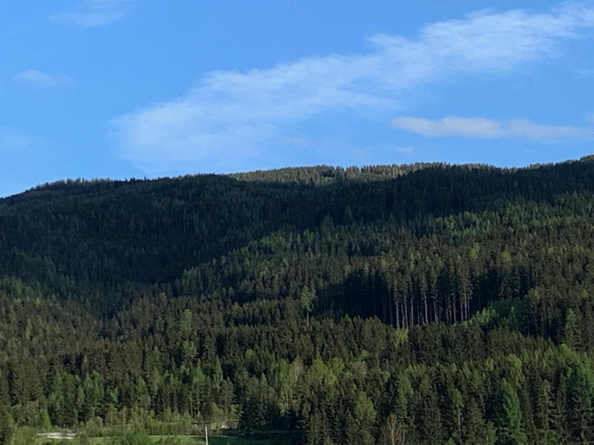 Landgasthof Zur Post Mitterdorf im Mürztal Zewnętrze zdjęcie