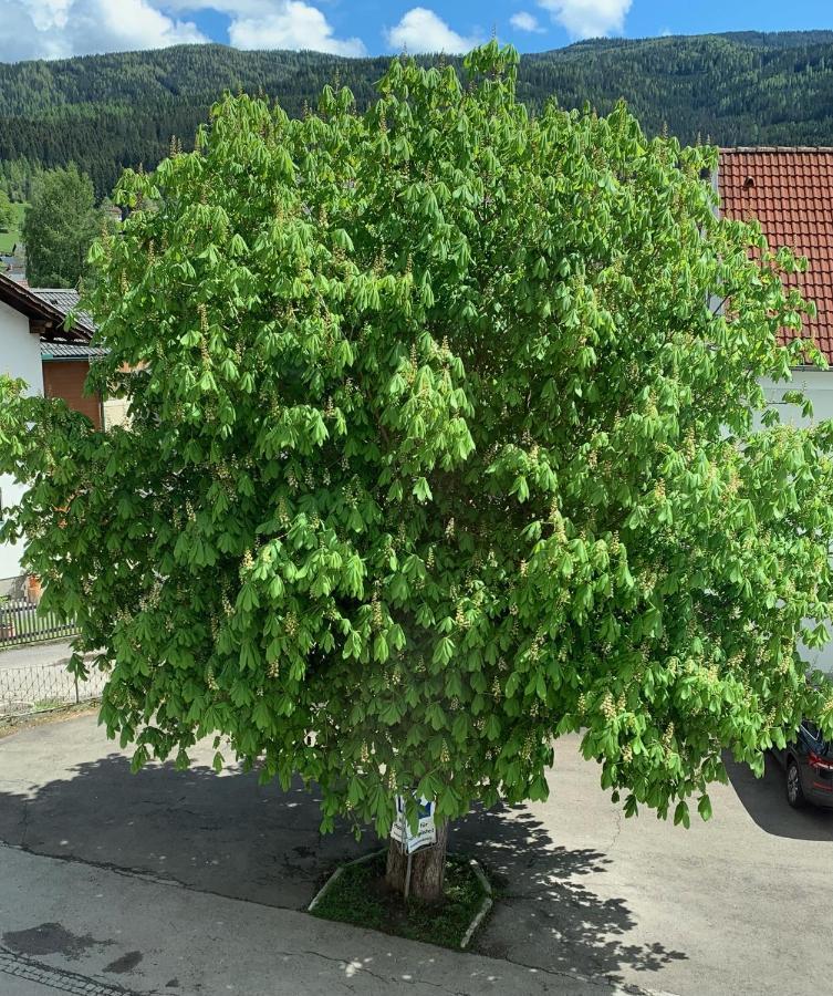 Landgasthof Zur Post Mitterdorf im Mürztal Zewnętrze zdjęcie